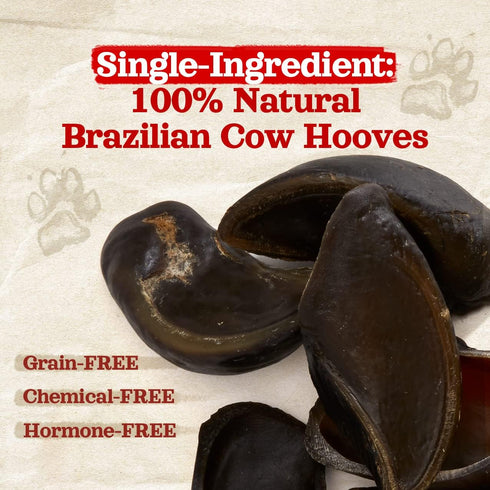 Cow Hooves (6 Pack), Odor-Free, All Natural Dog Treats from Natural Farm, Great Alternative to Bully Sticks