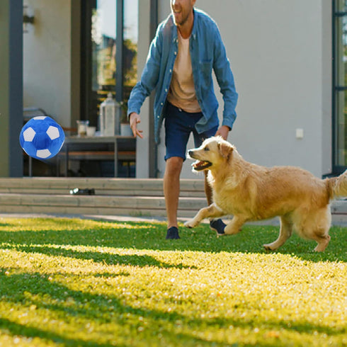 Dog Toys Balls - Pet Chew Toy Stuffed with Fluffy, Cute Interactive Squeak Toy for Medium and Large Dogs