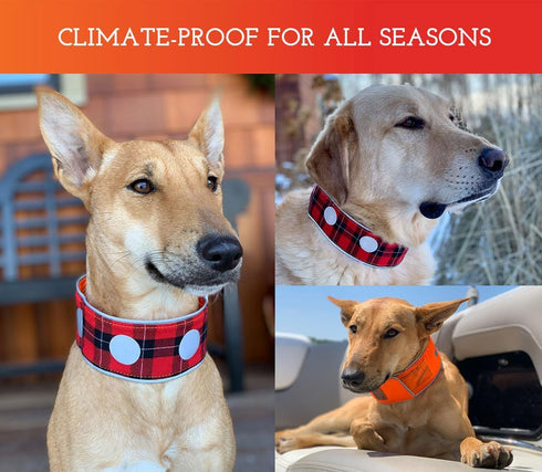 SPOT THE DOG! Reflective Dog Collar - Adjustable Durable Comfortable Collars for Large Dogs, Hunting Dogs (Blaze Orange)