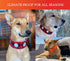 SPOT THE DOG! Reflective Dog Collar - Adjustable Durable Comfortable Collars for Large Dogs, Hunting Dogs (Blaze Orange)
