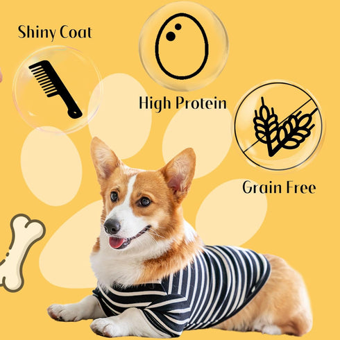 ASMPET Chicken Jerky Dog Treats: All Natural, Grain-Free, Chewy Treats for Large Medium Dogs