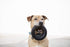 Mammoth TireBiterII Natural Rubber Dog Toys - Extreme Chewers, Interactive Play for Large Dogs (X-Large 7”)