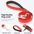 LED Dog Leash - 4 Feet Red Light Up Nylon Webbing, Micro USB Rechargeable Safety Standard Leash for Dogs