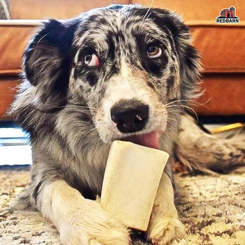 Redbarn Large Filled Dog Bones, Cheese & Bacon Flavor - Long Lasting Stuffed Femur Chew Treat (4 Count)