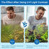 Aquarium Clean Light, 3W Mini Submersible Light with Timer, Waterproof Clean Lamp for Pond and Swimming Pool