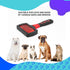 Dog Slicker Brush, Professional Grooming Tool for Goldendoodles, Poodles, and Doodles, Gentle Dematting and Detangling