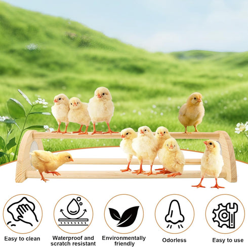 Yasdyri Chicken Perch with Mirror Roosting Bar for Baby Chicks Chick Jungle Gym Roosting Bar Strong Wooden Baby Chick