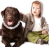 Metal Dog Training Chain with Secure Buckle, Cuban Diamond Collars for Large Medium Dogs