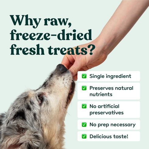 Freeze Dried Dog Treats - Beef Liver, Raw Single Ingredient for Snacks, Training, Dog Food Toppers, 2 oz