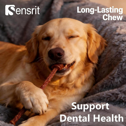 Sensrit 10 oz Dog Beef Sticks - Jerky Treats for All Dogs - High Protein & Grain Free Dog Snacks - Made with Real Beef