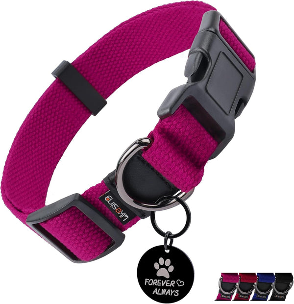 Classic Large Dog Collar for Mini Dogs, Extra Small Puppy Collar with Buckle, D-Ring, Removable Tag (15.7"-23.6" L, 1"