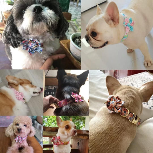 Beirui Cute Girl Dog Collars for Small Medium Large Dogs, Floral Patterns for Wedding Holiday, Neck 12-18", Green-3