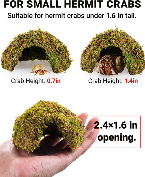ORBIDYN 2PCS 43.52.2in 1.6in Hermit Crab Accessories Climbing Toys & Habitat Domes, Natural-Look Shelter Cave, Hermit