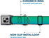 Dog Collar Seatbelt Buckle, Teal Ombre, 1.0 Inch Wide, Fits 15 to 26 Inches