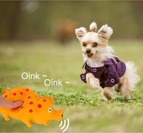 Andiker 8" Dog Squeaky Toy, Dots Latex Chew Toy with Oinks Sound, Grunting Pig for Dental Biting and Play (Orange)