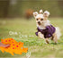 Andiker 8" Dog Squeaky Toy, Dots Latex Chew Toy with Oinks Sound, Grunting Pig for Dental Biting and Play (Orange)