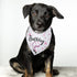 Happy Birthday Dog Bandana for Girls, Dog Birthday Bandana Pet Accessories for Large Dog Lovers