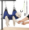 ondware Dog Grooming Arm with Dual-Spiral Clamp, Adjustable Height 27-37 inch, Dog