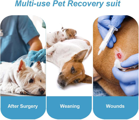 Etdane Dog Recovery Suit for Surgery, Female Spay Onesie for Dogs, Blue Red Plaid/XL