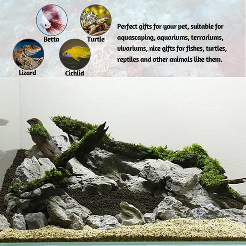 PINVNBY Natural Rocks for Reptile and Amphibian Enclosures, PH Natural Aquarium Stone, Aquascaping