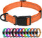TagME Reflective Nylon Dog Collars - Adjustable Classic Pet Collar with Quick Release Buckle for Small Dogs, Orange