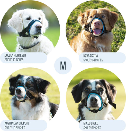 Gentle Muzzle Guard for Dogs - Prevents Biting and Chewing Safely with Soft Neoprene Padding, Blue (M)