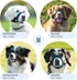 Gentle Muzzle Guard for Dogs - Prevents Biting and Chewing Safely with Soft Neoprene Padding, Blue (M)
