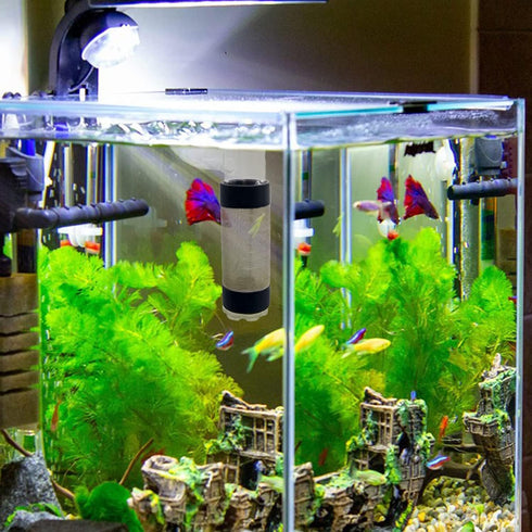 Tnfeeon Aquarium Intake Filter Mesh Cover, Stainless Steel Mesh Inflow Filter Guard for Shrimp and Fish.