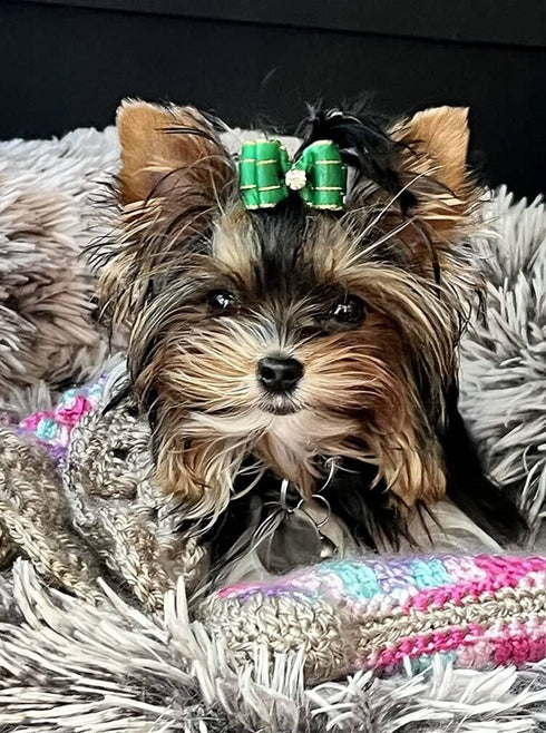 20Pcs/10pairs Small Dog Hair Bows with Rubber Bands, Rhinestone Puppy Hair Bows for Small Medium Pets (Purple Pink Blue)