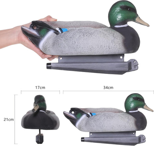 Realistic Mallard Duck Models, Hunting Decoys and Ornaments for Enthusiasts