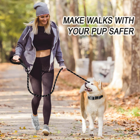 BARKBAY Dog Leashes for Large Dogs, Heavy Duty 2 PACK 5 FT with Comfortable Padded Handle, Highly Reflective Threads