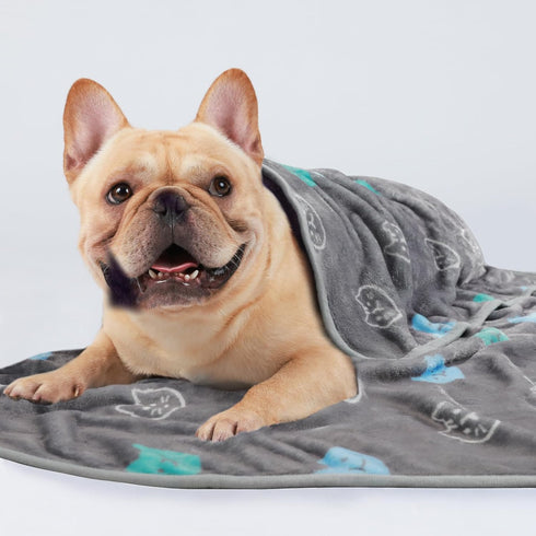 1 Pack 3 Medium(30x20 inch) Blankets Super Soft Fluffy Premium Cute Cat Pattern Pet Blanket Flannel Throw for Dog Puppy