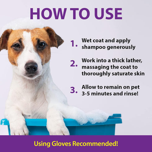 Odor Destroying Shampoo for Dogs - 32 oz, Powerful De-Greasers, Skunk Odor Remover for Pets, Fast Smell Removal