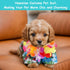 3 Pieces Pet Dog Hawaiian Costume, Summer Shirts for Small Medium Dogs with Funny Sunglasses
