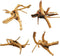 Hamiledyi 4 Pcs Driftwood for Aquarium, Natural Spider Wood Fish Tank Log Ornament