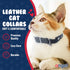Studded Cat Collar, Genuine Leather Kitten Collar, Midnight Black, 12 x 1/2 inches, Breakaway with Bell