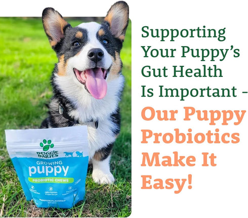 Doggie Dailies Puppy Probiotic | 120 Soft Chews for Digestive Health & Immune Support in Puppies