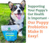 Doggie Dailies Puppy Probiotic | 120 Soft Chews for Digestive Health & Immune Support in Puppies