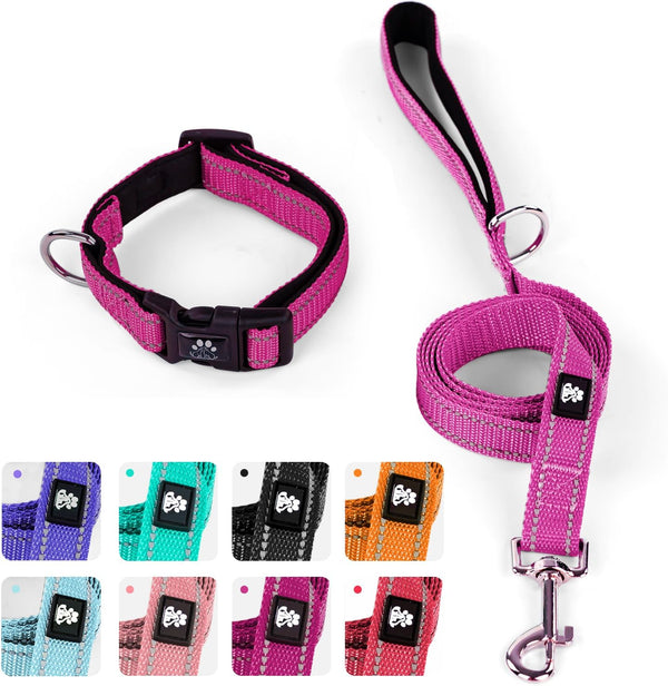 IVY&LANE Reflective Dog Collar and Leash Set, Breathable Nylon Pet Collar, Adjustable Neoprene Padded for Small Medium