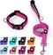 IVY&LANE Reflective Dog Collar and Leash Set, Breathable Nylon Pet Collar, Adjustable Neoprene Padded for Small Medium