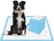 Bolux Dog and Puppy Training Pads Disposable Dog Pee Pads (40, 23.5"*23.5"(60*60cm))