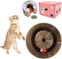 Magic Organ Cat Scratching Board, Durable Cardboard Cat Scratcher, Multi-Purpose with Toy Bell Ball and Catnip