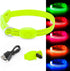 BSEEN Adjustable LED Dog & Cat Collar - Green, Rechargeable, Small Breeds, 8.5-11.8 inches, Lightweight, Reflective, 2