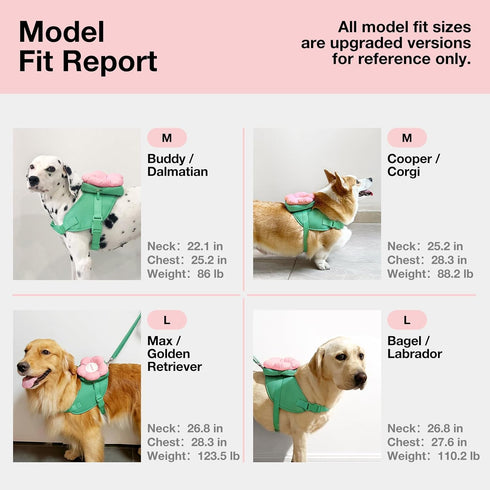 VETRESKA Flora Dog Harness, Leash and Collar Set | No Pull Vest Harness for Walking and Training, Adjustable, M
