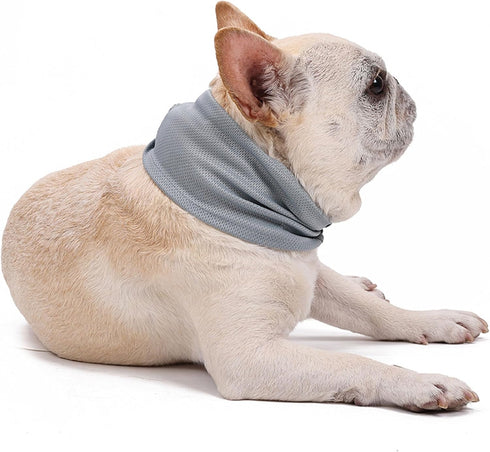NACOCO 2 Pcs Dog Instant Cooling Scarf - Summer Pet Bandana for Bulldog (Gray, M)