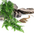 (6 Pack) PINVNBY Reptile Plants Hanging Fake Vines Boston Climbing Terrarium Plant with Suction Cup for Bearded Dragons