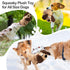 Plush Dog Toy, Squeaky & Stuffed Toy for Small & Medium Dogs