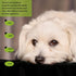 Playful Panache Dog Shirts: Adorable Hilarious Printed Patterns for Summer & Fall Comfort, Classic Series 3 X-Small