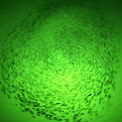 Underwater Fishing LED Light 15w, 12v - Green Light IP68 Waterproof Lamp for Night Fishing, Lure