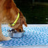 300 30" 36" (Pack 2) rocket & rex Premium Washable Pee Pads for Dogs, Waterproof & Reusable Puppy Pads for Potty